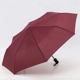 GoodsZori Wide-Canopy 24-Rib Automatic Umbrella - product image 1